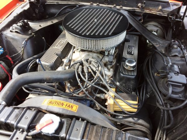 Cougar 1970 58
