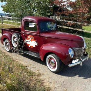 553908668 1194191505865508 2750429046369602080 n