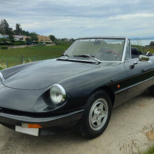 alfa spider 001